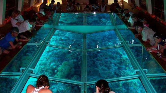 
في الغردقة.. تسجيل أكبر مسطح زجاجي تحت الماء بموسوعة جينيس