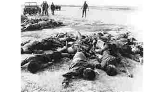 مذبحة «داك سون» الفيتنامية 