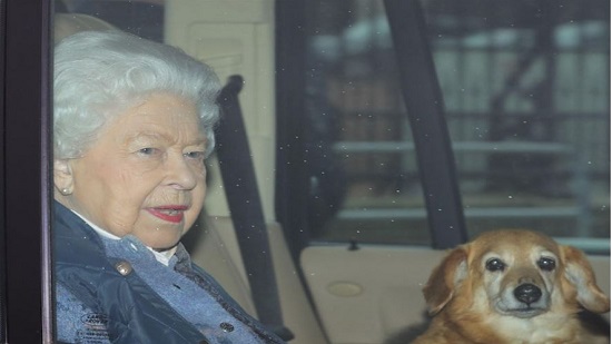 نفوق كلب الملكة البريطانية إليزابيث الثانية 