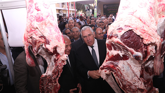 وزارة الزراعة تطرح اللحوم بـ 270 جنيها