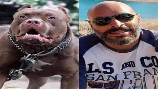 بعد القبض على الخادمة.. 10 معلومات عن «محمد ماوي» ضحية كلب الإعلامية أميرة شنب