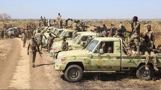 الجيش السوداني ينفذ عمليات تطهير ناجحة في شمال كردفان