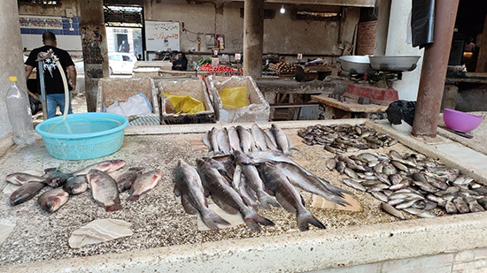 جديد حملة مقاطعة الأسماك في مصر.. تخفيض كبير ومحال تغلق