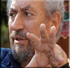 سعد الدين إبراهيم الناشط السياسي المعروف