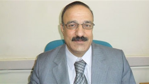 محمد حسام الدين- وكيل وزارة التربية والتعليم