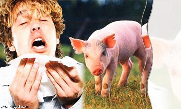 أنفلونزا الخنازير حقيقة أم إلهاء سياسي ؟ 