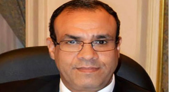 السفير بدر عبد العاطي – المتحدث باسم وزارة الخارجية