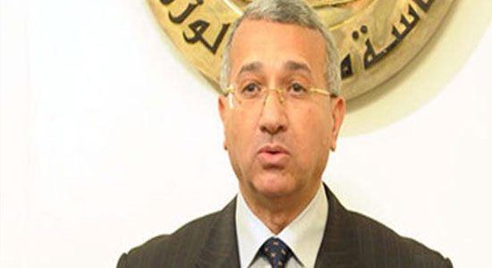 سفير مصر لدى ألمانيا: تولى الرئيس إدارة البلاد سيدشن لمرحلة جديدة في الديمقراطية