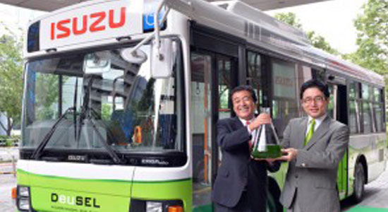 اليابان تصنع محركا للحافلات يعمل بأعشاب البحر