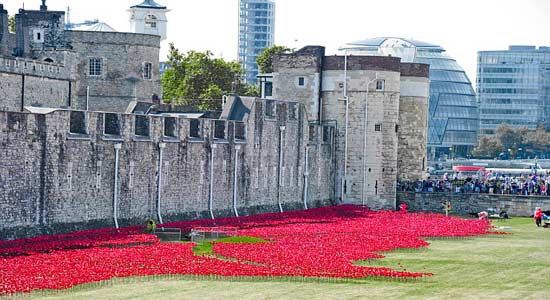  بالصور.. ديلي ميل: برج لندن يستعد لزراعة 800 ألف زهرة خشخاش إحياءً لذكرى الحرب العالمية الأولى