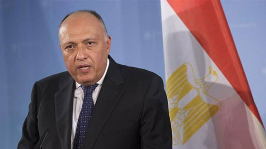  الخارجية: لا صحة لتبادل أراضٍ مصرية لحل القضية الفلسطينية
