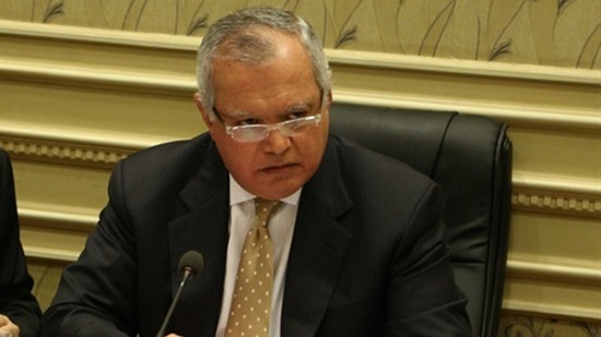 حالة جدل بين الجالية المصرية حول ترتيبات اللقاء مع الوزير محمد العرابى 