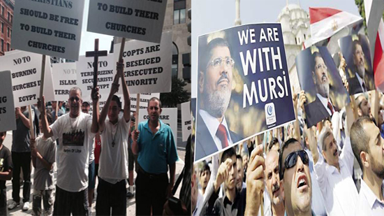 بالفيديو والصور.. من ألمانيا للبيت الأبيض.. مظاهرات المصريون في الخارج ما بين الوطنية والتخوين