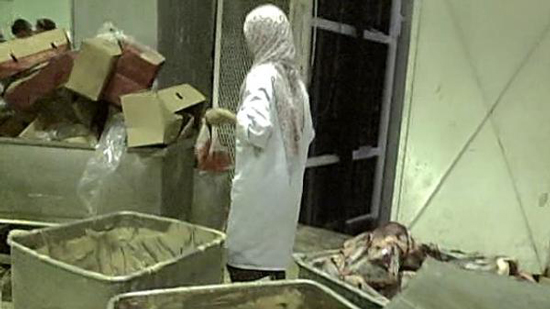 ارشيفية - سلامة الغذاء في مصر هل تخضع للرقابة؟