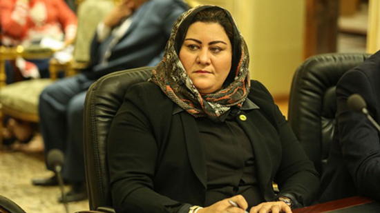 النائبة غادة صقر عضو مجلس النواب