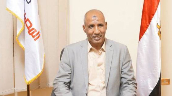 عامر الحناوي عضو مجلس النواب