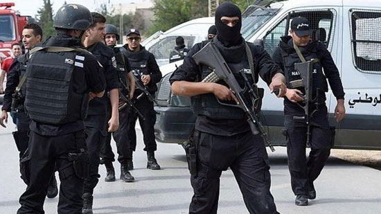 تفاصيل القبض على خلية إرهابية بينها انتحاريين خططوا لتفجير الأقباط بالعيد