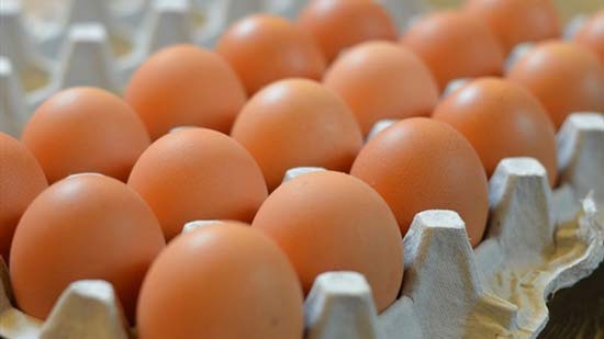 تعرف على أسعار البيض في الأسواق اليوم الخميس
