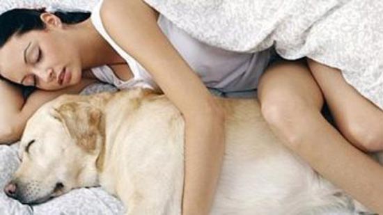 دراسة تحذر.. النوم بجوار الحيوانات الأليفة يسبب مشاكل صحية