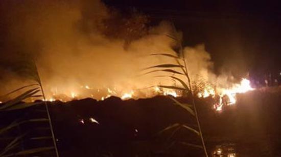 السيطرة على حريق بمحول كهرباء فى مدينة بلبيس بالشرقية