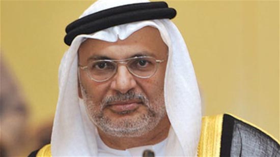 وزير إماراتي: التقارير الغربية عن السعودية مضطربة ومتسرعة وبعضها كاذب