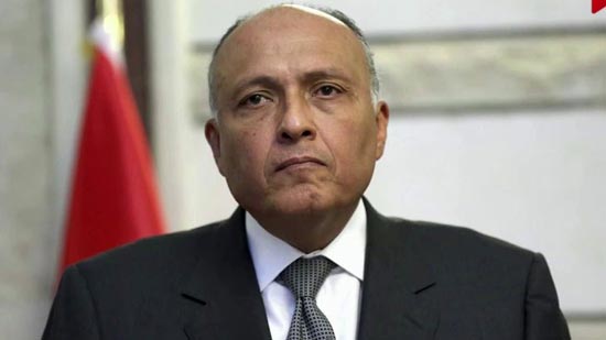 وزير الخارجية يكشف حقيقة تعرض الدول المقاطعة لضغوط بسبب الأزمة القطرية