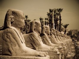 تجربة مصر في مجال إدارة المواقع الأثرية بدأت تؤتى بثمارها