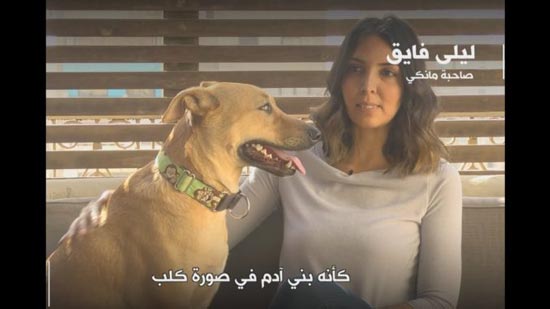  بالفيديو.. هكذا يتبنى الأجانب الكلب البلدي باعتباره كنز.. تعرف على ميزات الكلب البلدي