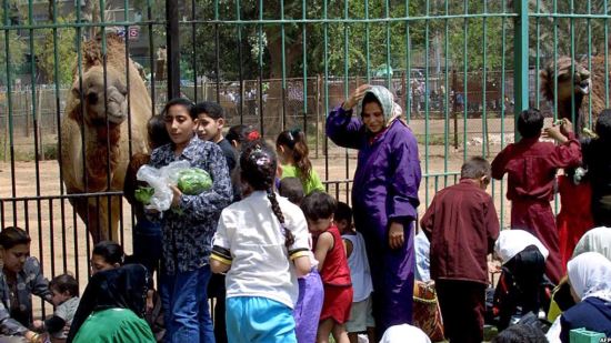 المصريون يتوافدون على حديقة الحيوان والأماكن العامة للاحتفال بشم النسيم
