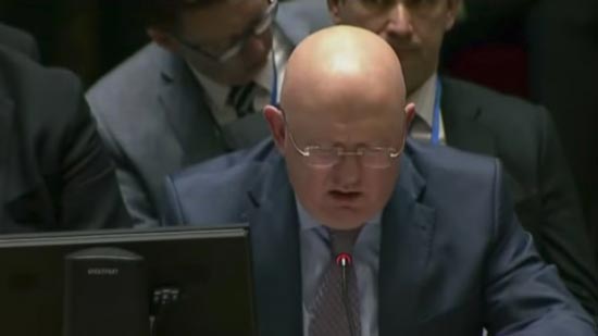 مندوب روسيا في مجلس الأمن،