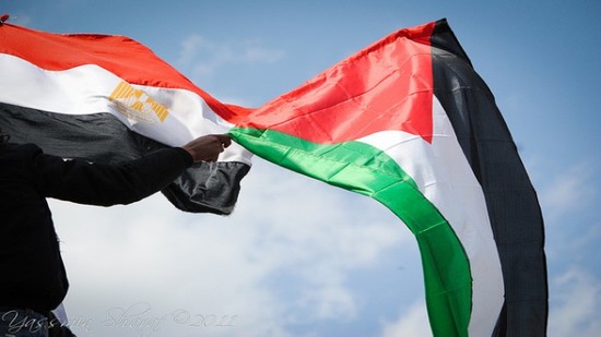 الإمارات تساعد مصر في تطوير الأداء الحكومي