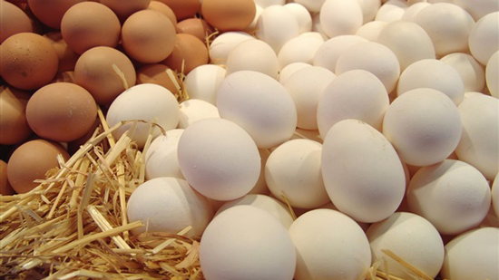 كارثة.. احذرى البيض الصيني منتشر فى الأسواق يسبب تلف المخ والتسمم الغذائى