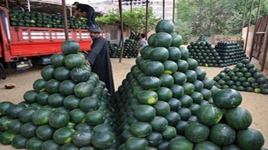 «الزراعة»: كل البطيخ المعروض في الأسواق صحي وصالح للاستهلاك
