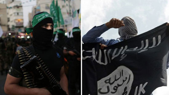 صفحات إسرائيلية تربط بين حركة حماس وداعش