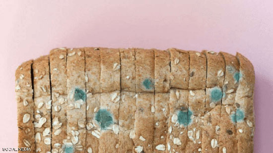 أكل خبز متعفن قد يؤدي إلى متاعب صحية خطيرة