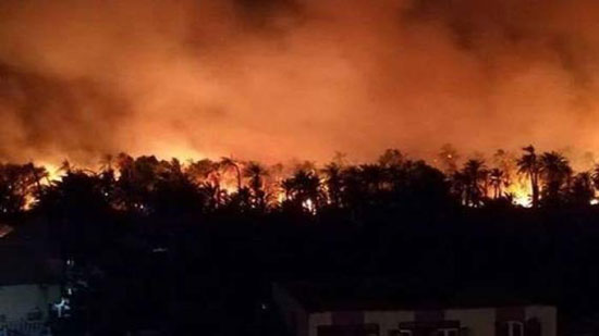 السيطرة على حريق فى زراعات النخيل بقرية الكاجوج بكوم أمبو في أسوان