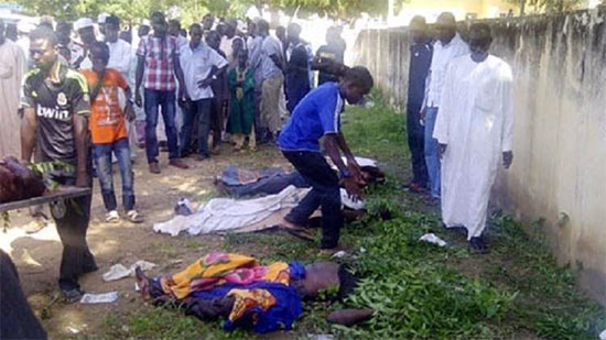 بوكو حرام تذبح 12 فلاح نيجيري بالمناجل!