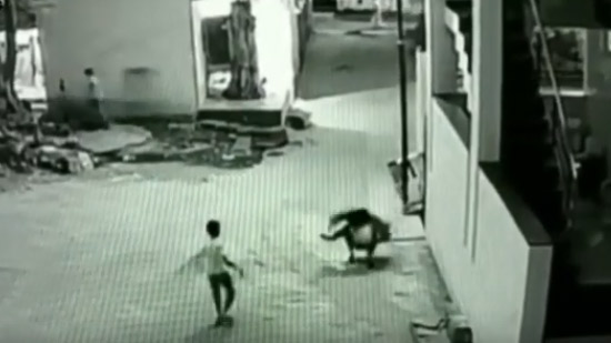 طفل يسقط من ارتفاع 12 مترا وينجو.. وفيديو يوثق 
