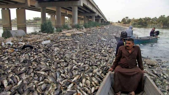 الثروة السمكية العراقية في خطر بعد خروقات إيران.