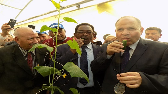  بالصور: محافظ الفيوم يتناول ثمار الخيار خلال افتتاح صوب زراعية بحضور 