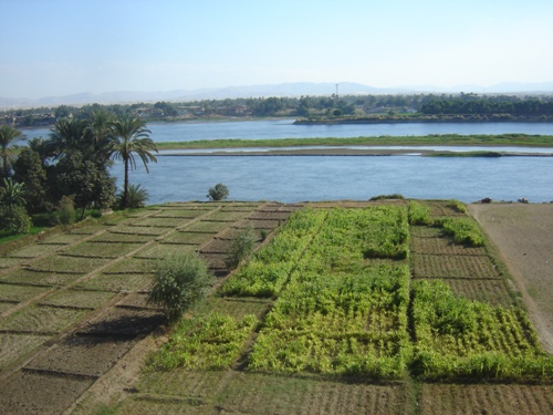 منظر عام لقرية المريس مع نهر النيل