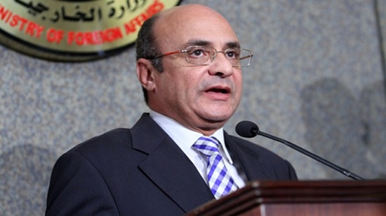 عمرو مروان: البرلمان أصدر 181 قانونًا في 2018

