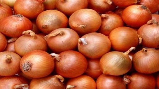 «الزراعة» ردا على القرار السعودي: أوراق البصل «شمعية» لا يستقر عليها المبيد
