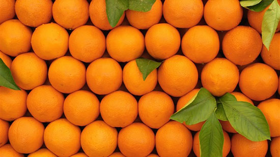 محصول البرتقال