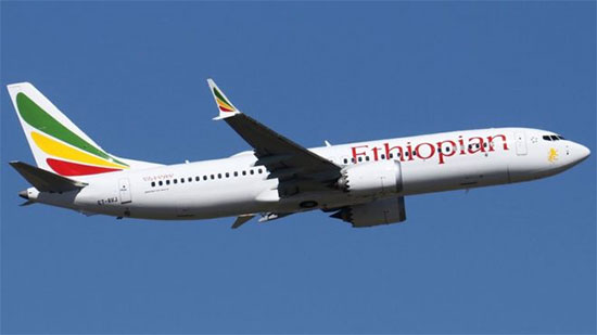سفير مصر لدى إثيوبيا يكشف موعد وصول جثامين المصريين في حادث الطائرة المنكوبة 