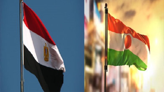 مصر تقدم معونات دوائية للنيجر لمكافحة 