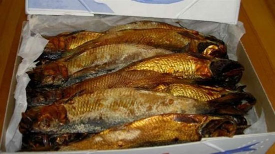 تخفيضات 30%.. ننشر قائمة أسعار الأسماك بمنافذ التموين استعدادا لـ