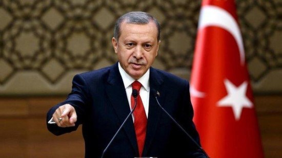 عكاشة: أردوغان جعل من الدين الإسلامي عباءه يتستر تحتها ليتدخل في الشأن العربي