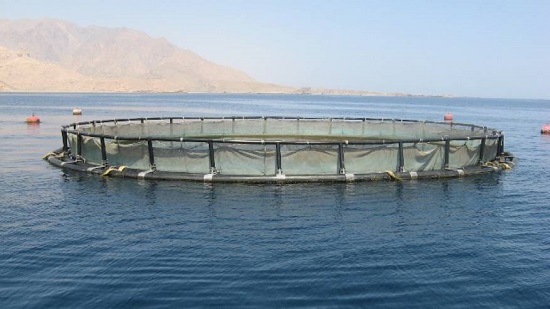  خطة طموحة للنهوض بالثروة السمكية في سلطنة عمان
