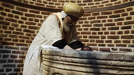 البابا يعمد طفلين بقداس عيد دخول السيد المسيح مصر 
